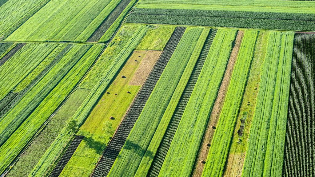 farming.software -Crop rotation planning